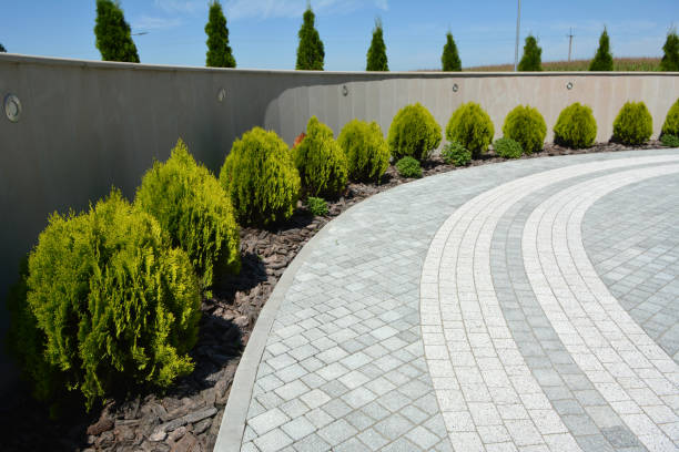 Reasons to Select Us for Your Driveway Paving Requirements in Mcgovern, PA